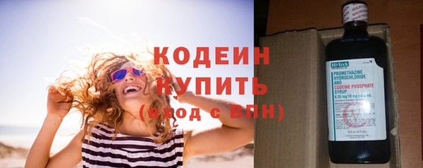 ГАЛЛЮЦИНОГЕННЫЕ ГРИБЫ Вяземский