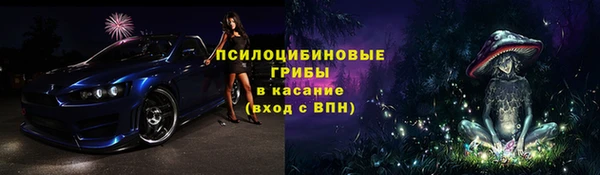 стаф Вязники