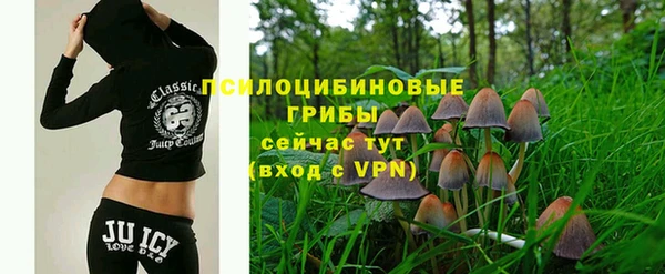 стаф Вязники