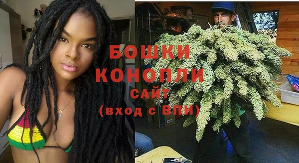 ГАЛЛЮЦИНОГЕННЫЕ ГРИБЫ Вяземский
