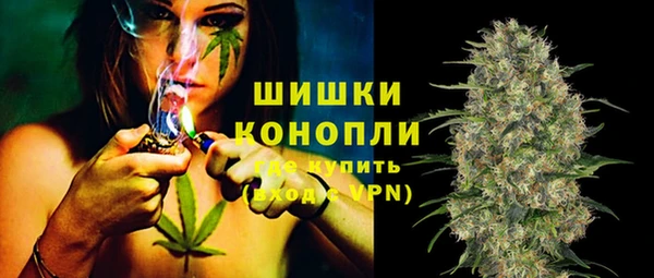 стаф Вязники