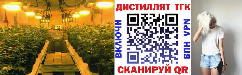 ТГК Wax Кисловодск